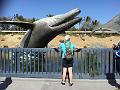 IMG_1119