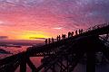 BridgeClimb Sydney Twilight Climb