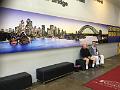 IMG_1241