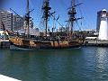 IMG_1278