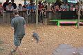 IMG_0402