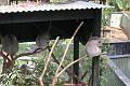 IMG_0425