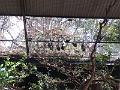 IMG_0555