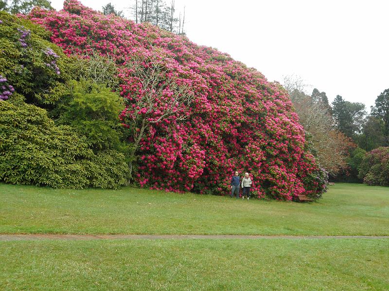 DSCN0225.JPG