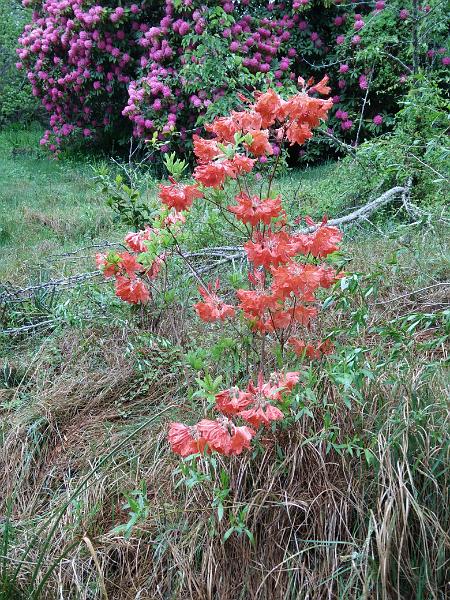 IMG_20171015_140558.jpg