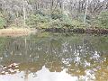 DSCN0242