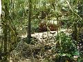 DSCN0259