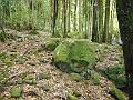DSCN0264