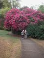 IMG_0057