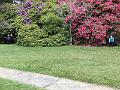 IMG_0603