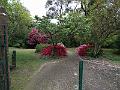 IMG_20171015_140128