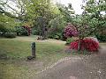 IMG_20171015_140135
