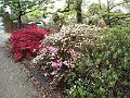 IMG_20171015_140242