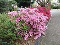 IMG_20171015_140247