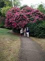 IMG_20171015_140357