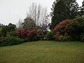 IMG_20171015_140746