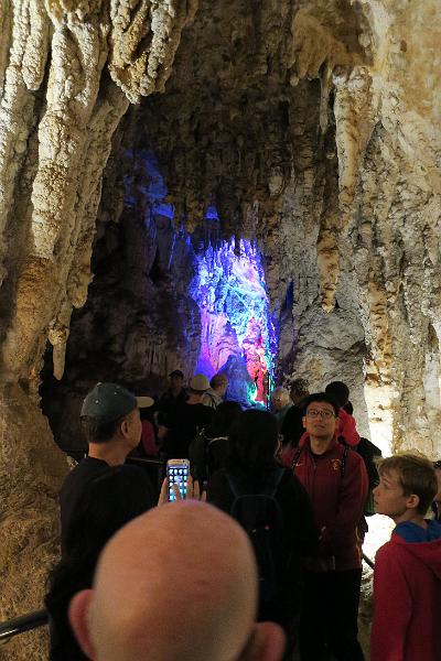 IMG_0881.JPG