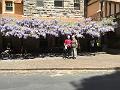IMG_0632