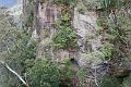 IMG_1014