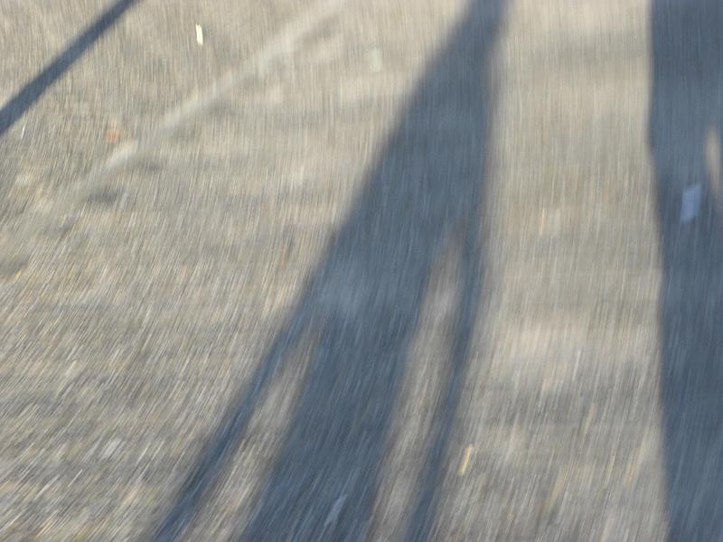 P6230576.JPG
