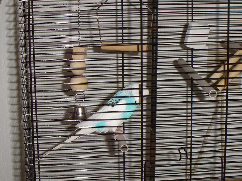 DSC00004.JPG