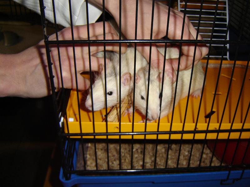 DSC00007.JPG