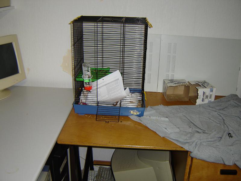 DSC00061.JPG