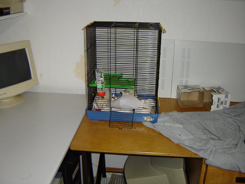 DSC00062.JPG