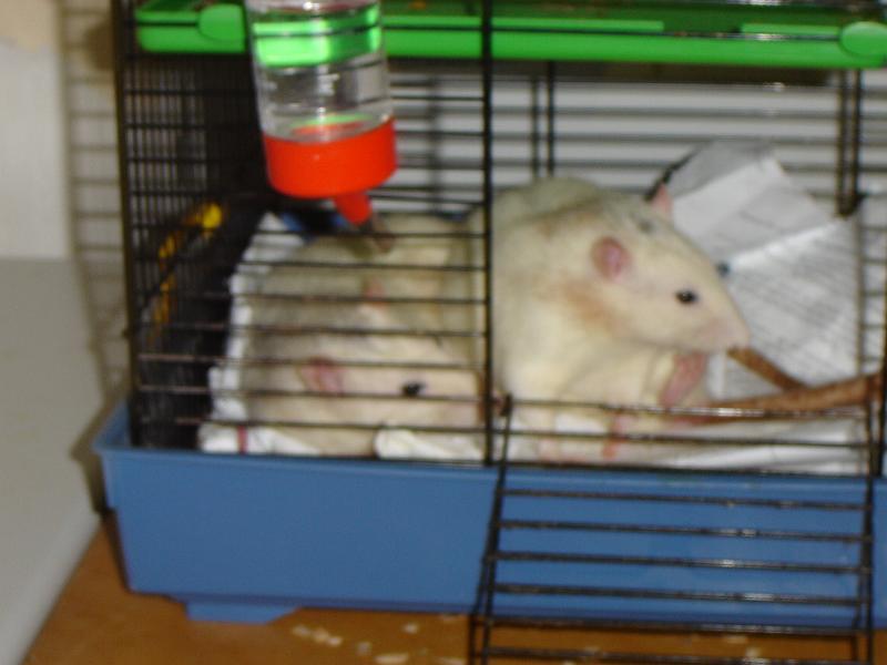 DSC00067.JPG