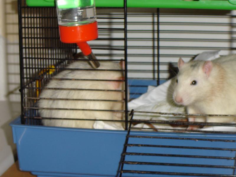DSC00068.JPG