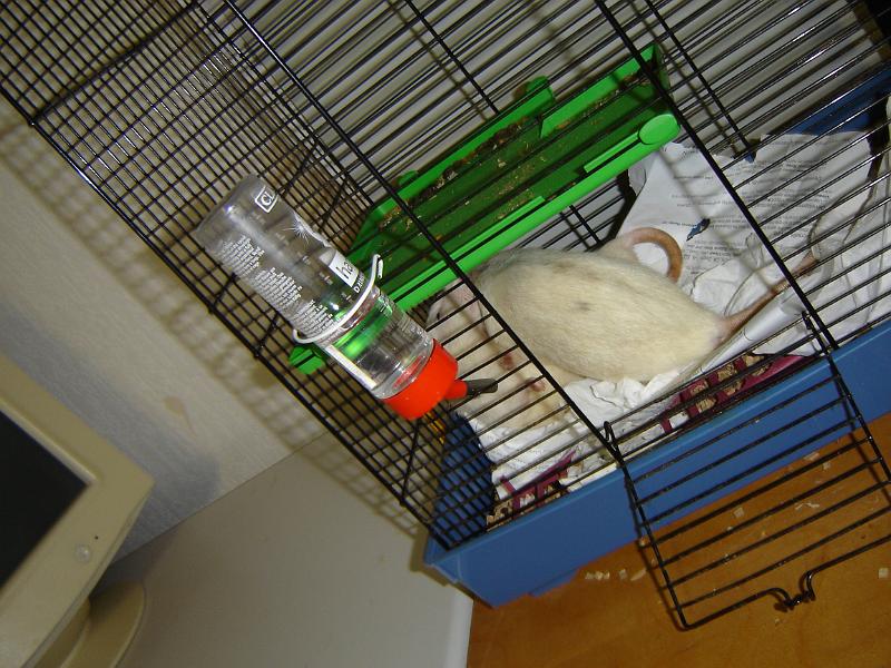 DSC00070.JPG