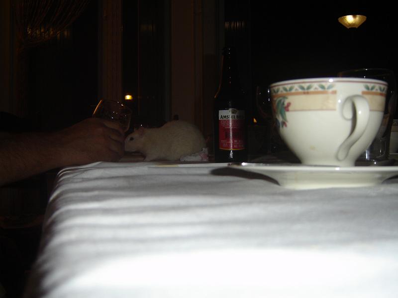 DSC00549.JPG