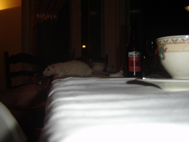 DSC00550.JPG