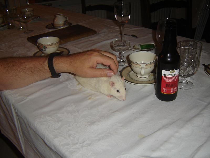 DSC00558.JPG