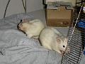 DSC00022
