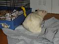 DSC00050