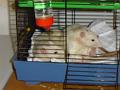 DSC00067