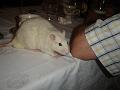 DSC00557