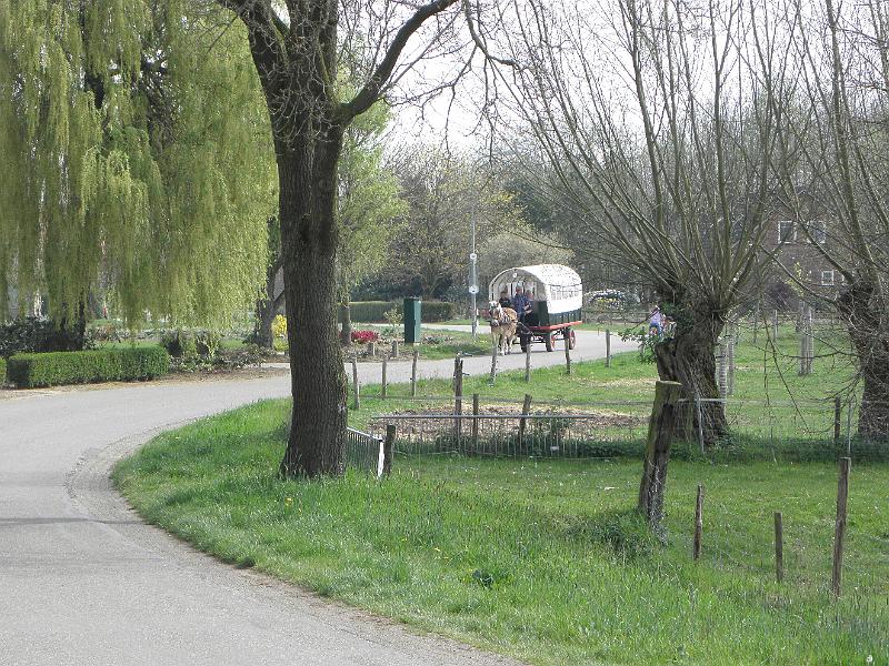 P4020064.JPG