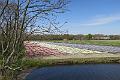IMG_9647