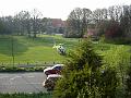 DSC00135