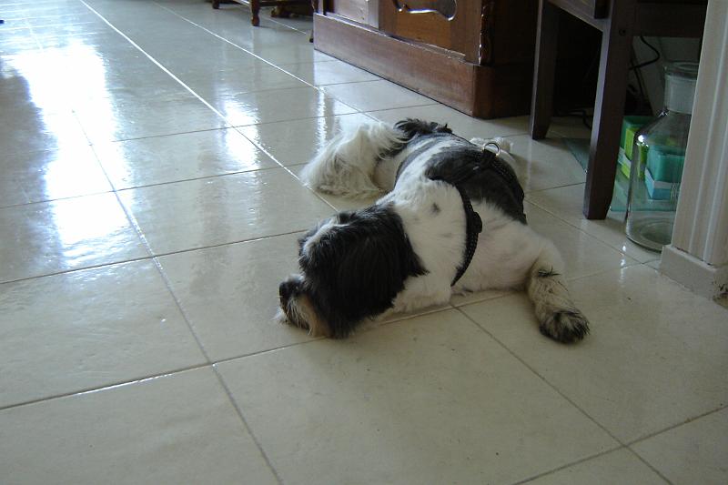 DSC03855.JPG