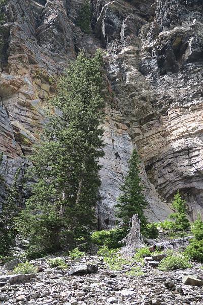 IMG_3667.JPG