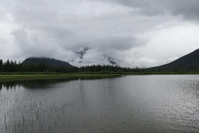 IMG_3721.JPG