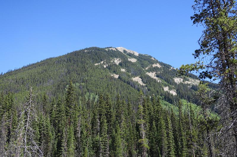 IMG_4050.JPG