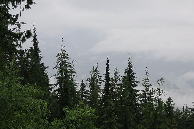 IMG_4556.JPG