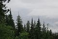 IMG_4556