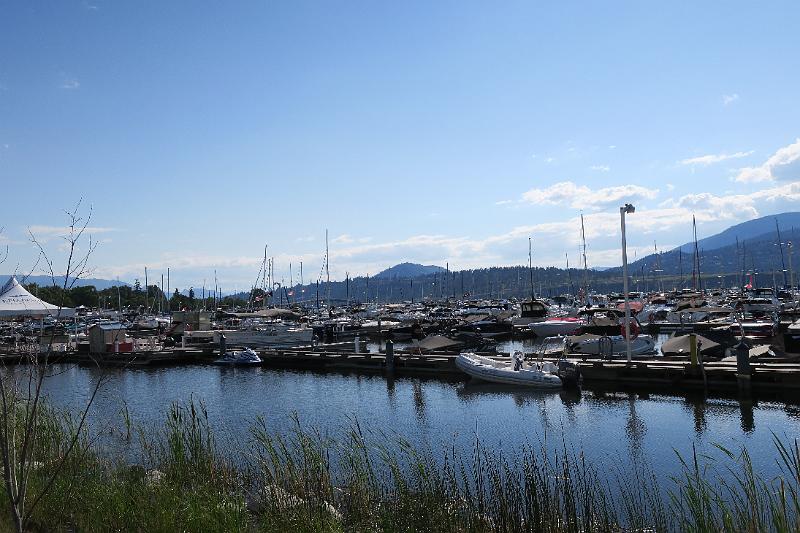IMG_4630.JPG