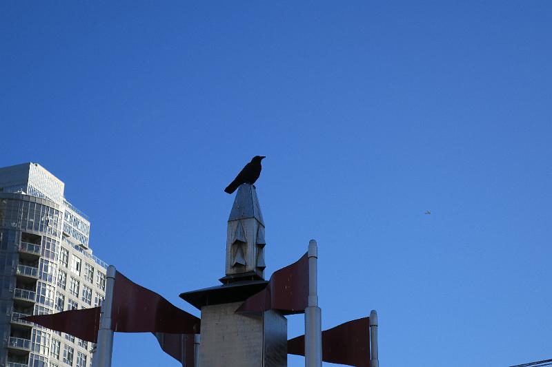 IMG_5000.JPG