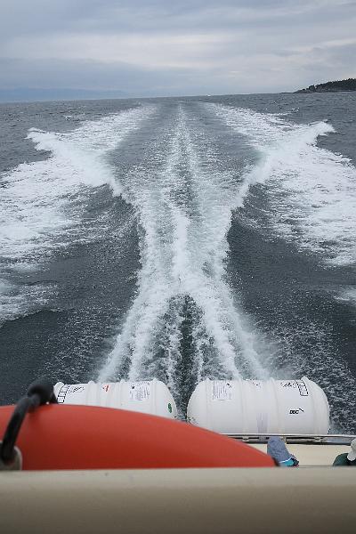 IMG_5241.JPG